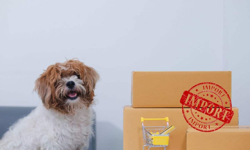 Simplified import documentation for pet food products from the US - Universal Logistics Trade Alerts - January 17, 2025