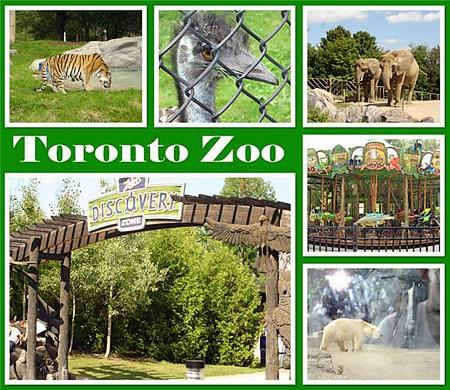 The Toronto Zoo
