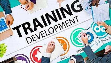 Employee Training and Development