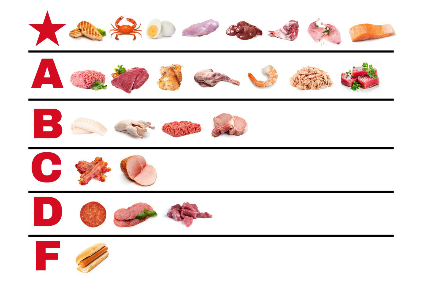 Protein - Health and Lifestyle - Universal Logistics Universal & YOU Internal Newsletter