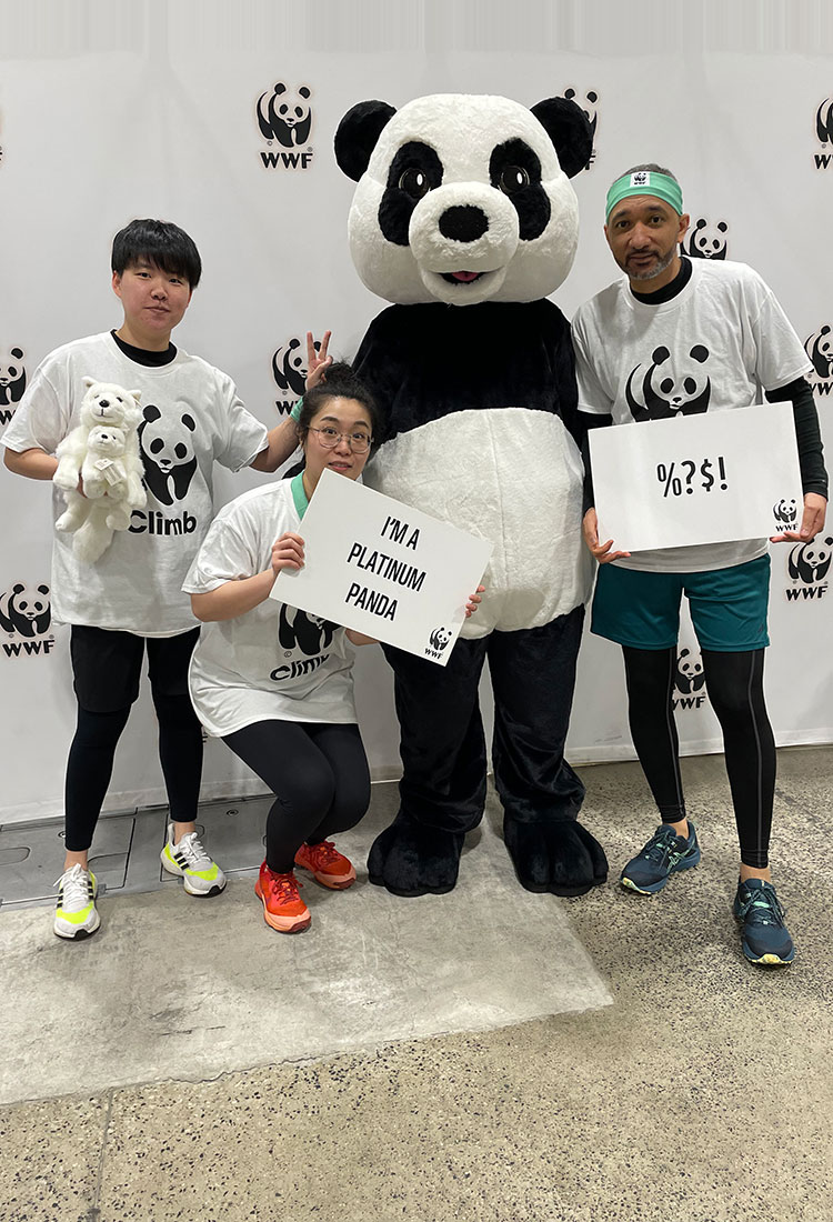 2024 CN Tower Climb for Nature - Post Stairs Photo - Universal Logistics Universal & YOU Internal Newsletter - May 2024
