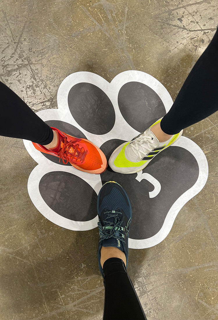 2024 CN Tower Climb for Nature - Universal Logistics Universal & YOU Internal Newsletter - May 2024