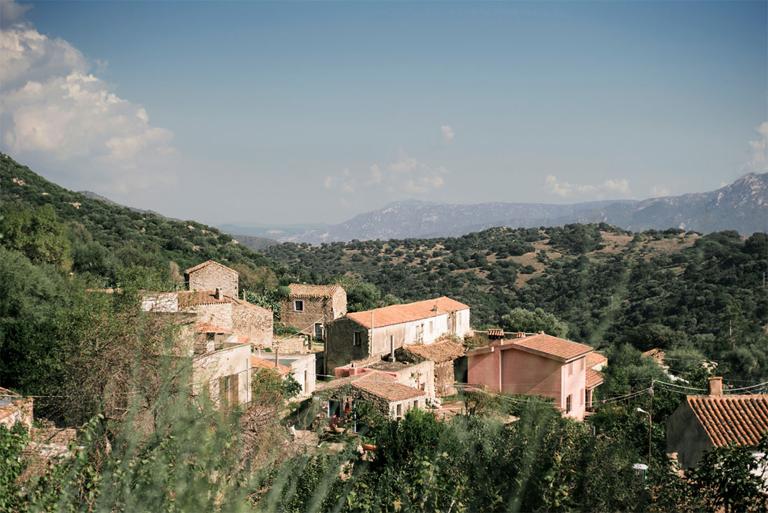 Health and Lifestyle - Blue Zones - Barbagia - Sardinia - Universal Logistics Universal & YOU Internal Newsletter - September 2024