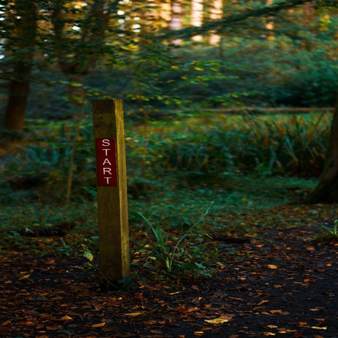 The New Year as a Mental Reset - Health and Lifestyle - Universal Logistics Universal & YOU Internal Newsletter - January 2026