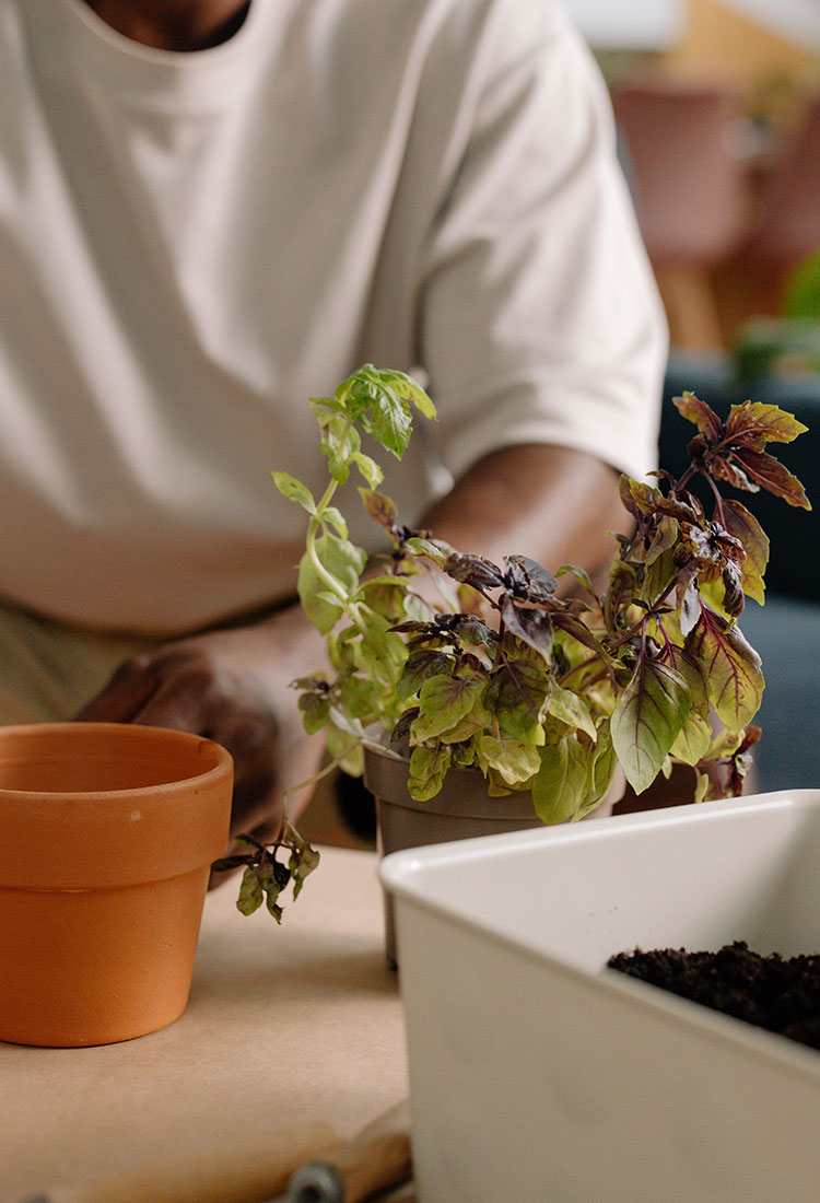 Black Tumb - Health and Lifestyle - Universal Logistics Universal & YOU Internal Newsletter - July 2026