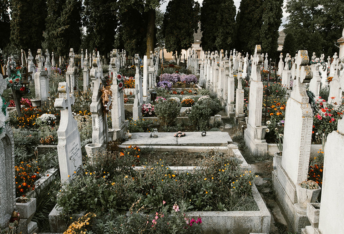 A Vibrant Celebration of the Dead: Fèt Gede in Haiti - Something’s Brewing - Universal Logistics Universal & YOU Internal Newsletter - September 2026
