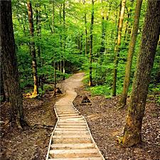 “99 Steps” at Joker’s Hill Trail