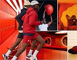Sports