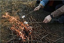 Campfire