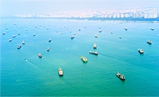 Container ships in harbour