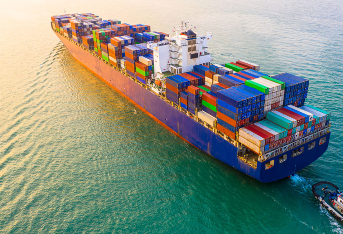 Ocean Freight market update - Route Newsletter: February 2024 